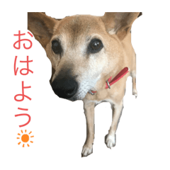 ARISA_20190830202339