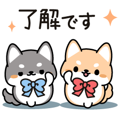 Shibainu Twins