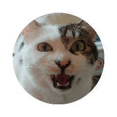 meme_20190830212016