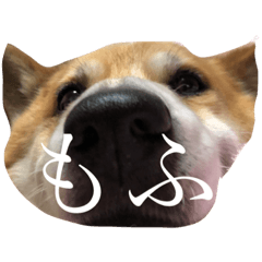 rufukun