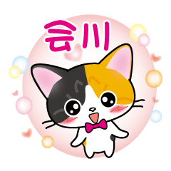 aikawa's name sticker carol cat version