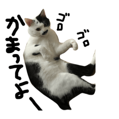 ARISA_20190830221009