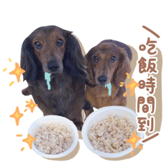 娜娜布布&凱蒂