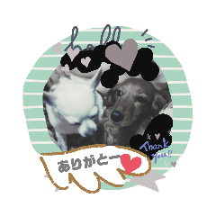 midori_20190830222836