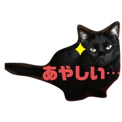 jiji_20190830232620