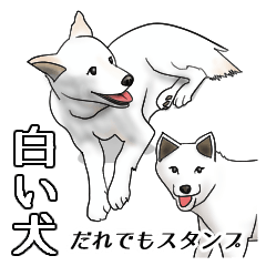 White Dog Sticker-JP-