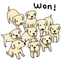 Won!derful Dogs