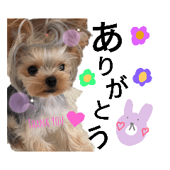 chan_20190831002422