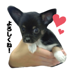 riku_20190831035446