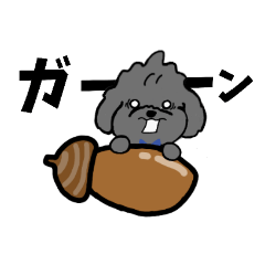 olive_20190831073826