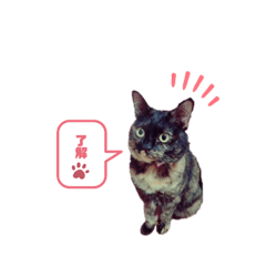 Miyuki_20190831105306