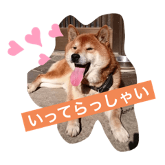 Shibainu's loose stamp