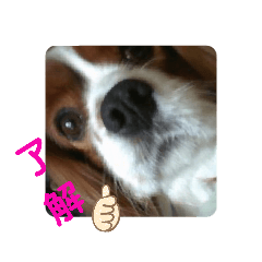 meme_20190831131839