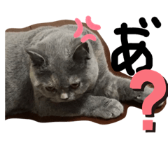 hisa_20190831122523