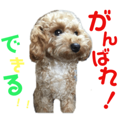 yayoi_sora#2