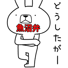 Dialect rabbit [uonuma2]