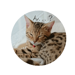 hikari_20190831162125