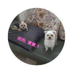 妞妞，寶寶，1