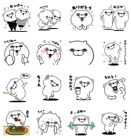 Bear and Cat 100% × RIZAP