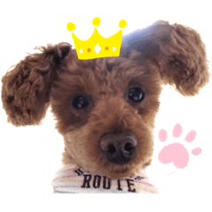 akane_20190831182209