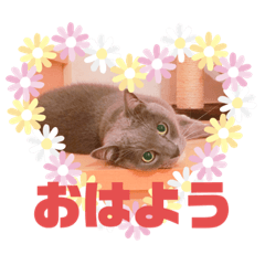 miko_20190831215253