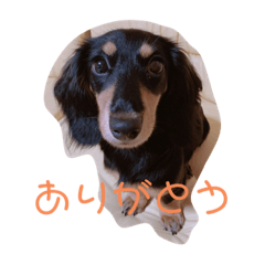emMa_stamp0909