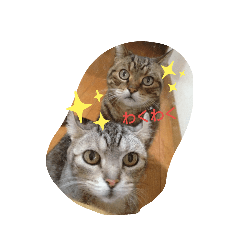 hana_20190901002341