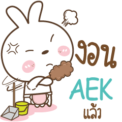 AEK Little Rabbit Love Bear e