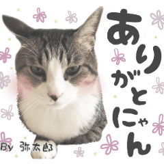 yataro_stamps