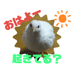 Chiro_20190901012403