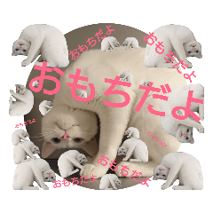 omochi_20190901081718