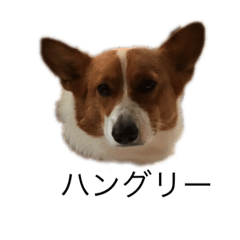 Michael_2019090109142