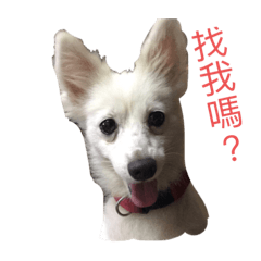 燕桃一家人
