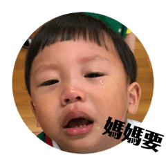 飛飛飛bee