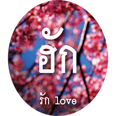 Northern language Thai