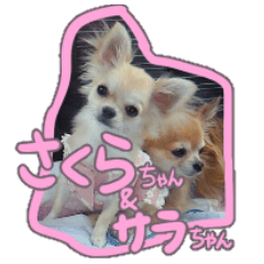 Sakura and Sarah Sticker