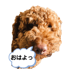 jun_20190901111543