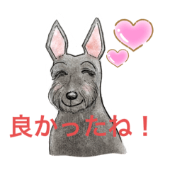スッコ 和みの言葉