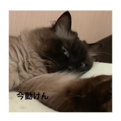 umi_20190901115235
