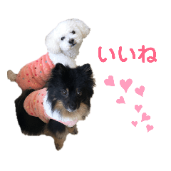 nanami_20190901133005