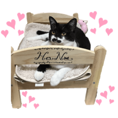 sally_20190901135208