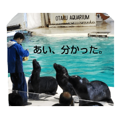 yasu_20190901145843