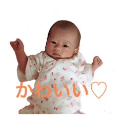 rino_20190901144902