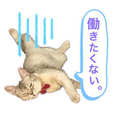 hikaru_20190901152952