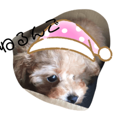 aoi_20190901175622