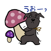 olive_20190901175735