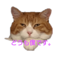 chappy_20190901164953