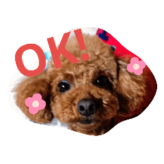 Hanamomo_20190901175809