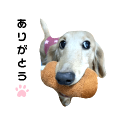 ダックスらいふ