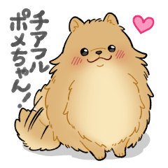 Cheerful Pomeranian!